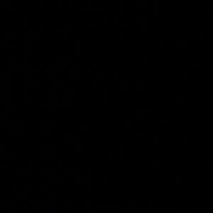 Meet your Posher, Daniela