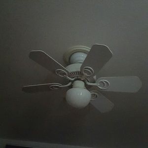 Meet your Posher, Braulio