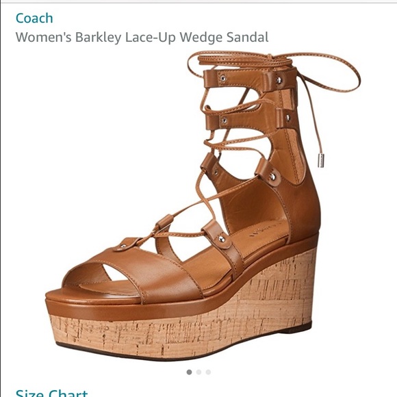 🔥Coach Barkley