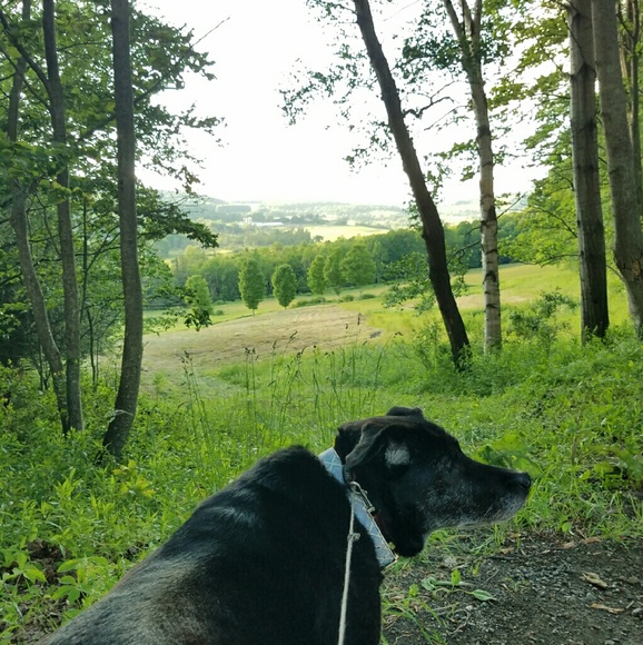 Meet your Posher, Lindsay - Picture 1 of 1