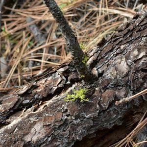 Meet your Posher, Colby