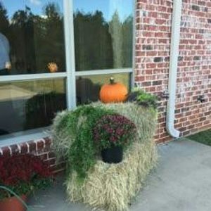 Meet your Posher, Crystal