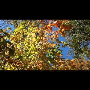 Meet your Posher, Danny