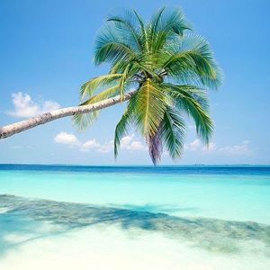 Meet your Posher, Chad