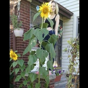 Meet your Posher, Abigail