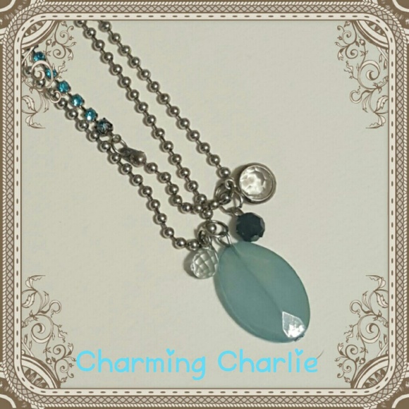 Charming charlie 2 strand silver necklace