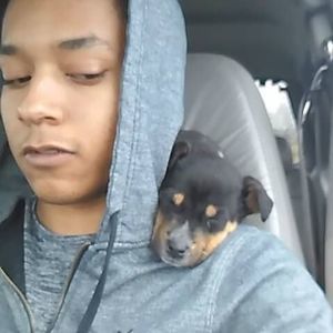 Meet your Posher, Michael