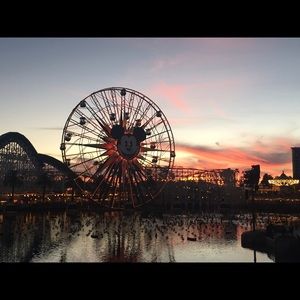 Meet your Posher, Scott