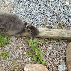 Meet your Posher, Kerry