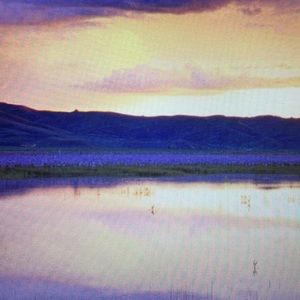 Meet your Posher, Angel