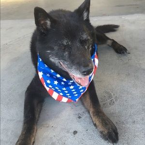 Meet your Posher, Susanne