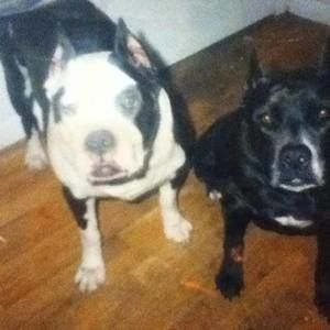 Meet your Posher, Jean