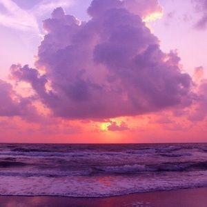 Meet your Posher, Alina