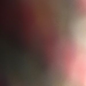 Meet your Posher, Rayna