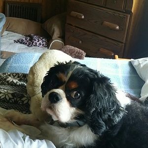 Meet your Posher, Tiffany