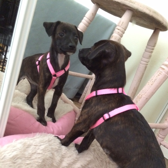 Helllllo! 🙂💃🏼✨❣️ - Picture 4 of 4