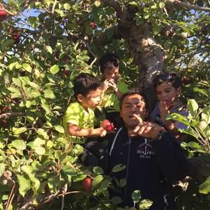 Meet your Posher, Helders