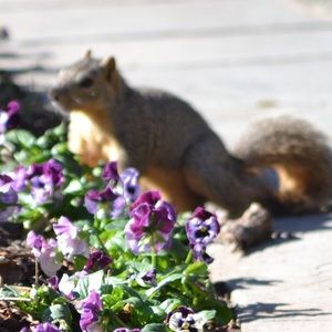 Meet your Posher, Becca