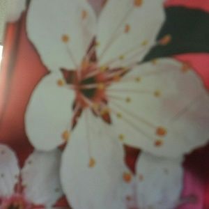 Meet your Posher, Valerie