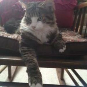 Meet your Posher, Connie