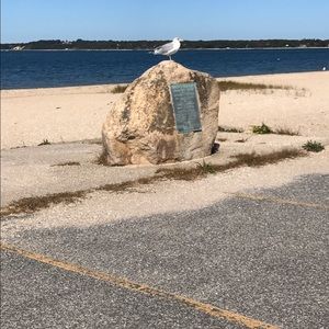 Meet your Posher, Pauline