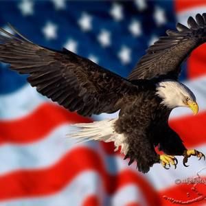 Meet your Posher, Mustapha