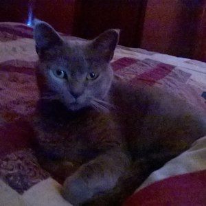 Meet your Posher, Nancy