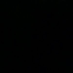 Meet your Posher, Fred