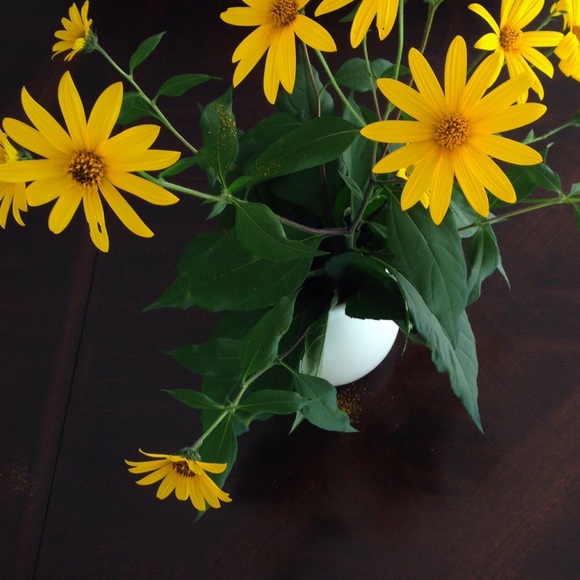 Meet your Posher, Ting - Picture 1 of 1