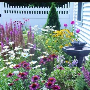 Meet your Posher, Jeannie