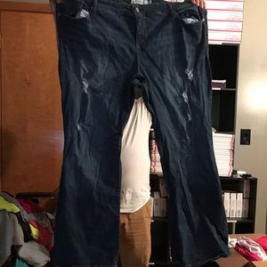 Torrid size 26R