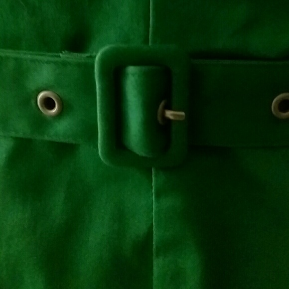 The Limited Dress - Picture 3 of 4