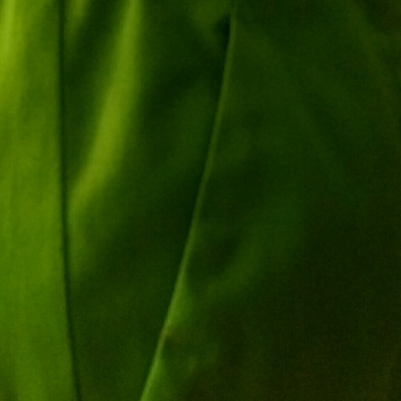The Limited Dress - Picture 4 of 4