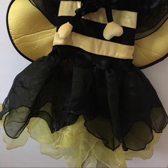 Bee costume 2T, worn twice, great condition.