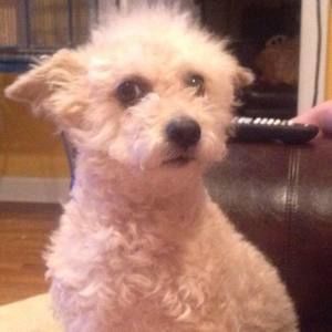 Meet your Posher, Edgar