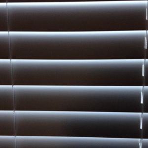 Meet your Posher, Elaine