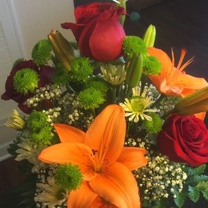 Meet your Posher, Alison