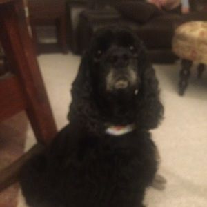 Meet your Posher, Kathleen