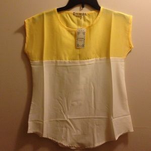 Great silk blouse NWT