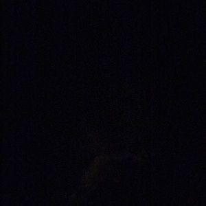 Meet your Posher, Abigail