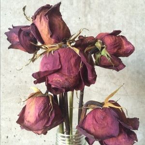 Meet your Posher, Samuel