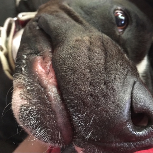 Meet Your Posher! - Picture 3 of 4