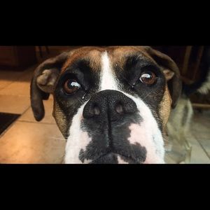 Meet your Posher, Kristen