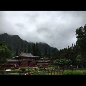 Meet your Posher, Gabriela