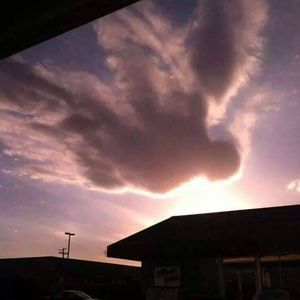 Meet your Posher, Billee