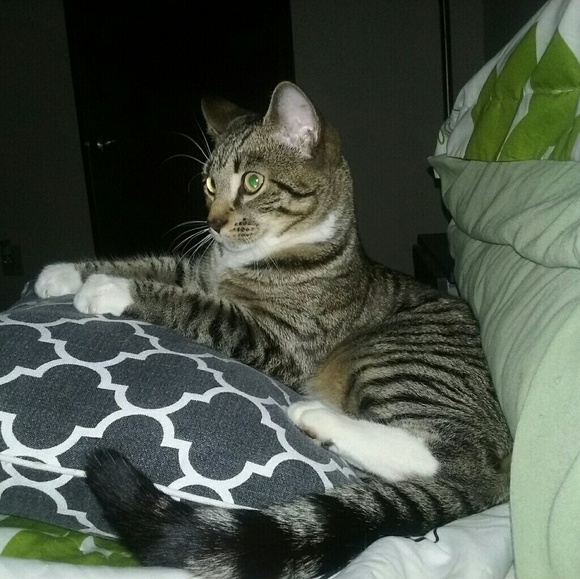 Meet your Posher - Picture 2 of 4