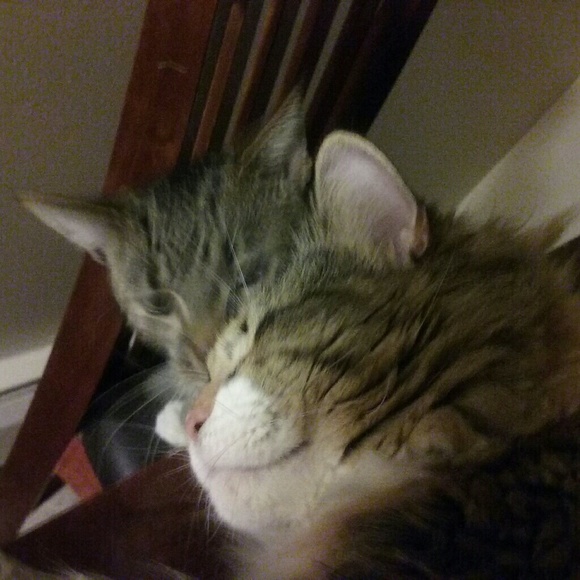 Meet your Posher - Picture 4 of 4