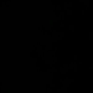 Meet your Posher, Nichole