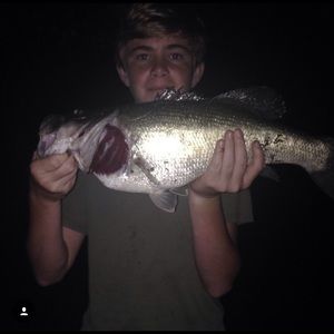 Meet your Posher, Clint