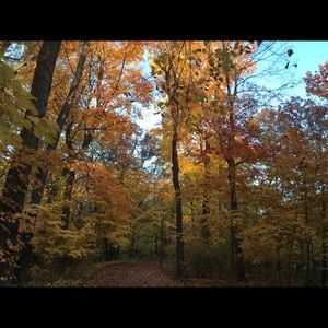 Meet your Posher, Joan